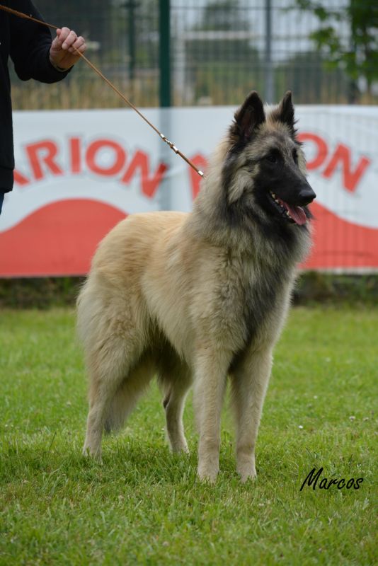 47-QUINI DEL CLAM_U (1)